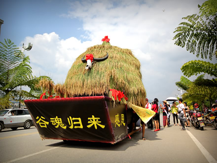 沧源佤族新米节(组图)